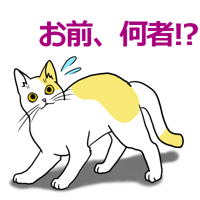 猫は女性がお好き 猫との接し方 ねっときゃっと